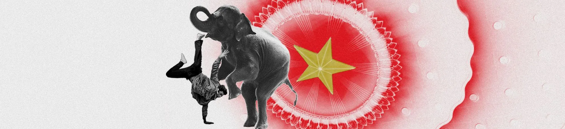 The Chinese Communist Party’s Appeal to Youth in Overseas Propaganda