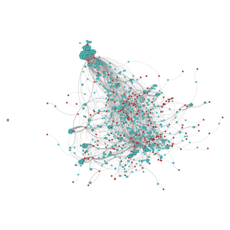 Network Graph