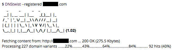 typosquatting-domains-analysis-1.png